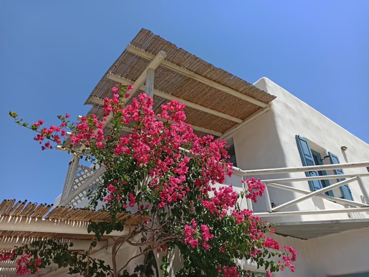 Kykladonisia Amorgos Kamer foto